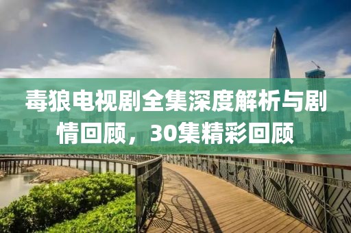 毒狼电视剧全集深度解析与剧情回顾，30集精彩回顾
