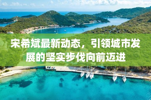 宋希斌最新动态，引领城市发展的坚实步伐向前迈进