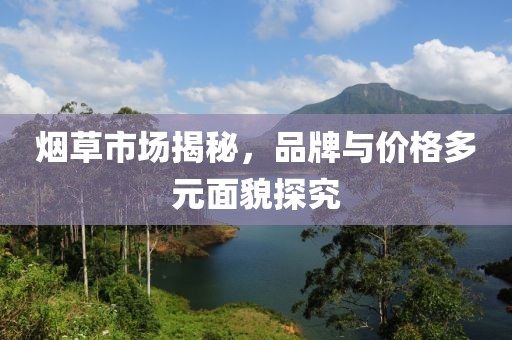 烟草市场揭秘，品牌与价格多元面貌探究