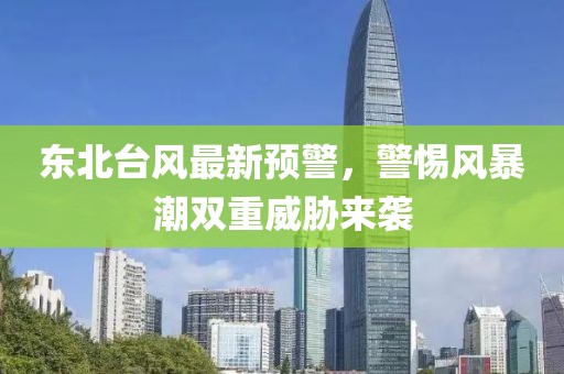 东北台风最新预警，警惕风暴潮双重威胁来袭