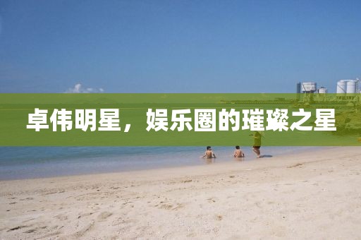 卓伟明星，娱乐圈的璀璨之星