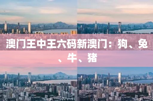 澳门王中王六码新澳门：狗、兔、牛、猪