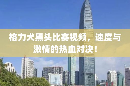格力犬黑头比赛视频，速度与激情的热血对决！