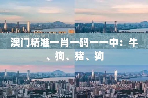 澳门精准一肖一码一一中：牛、狗、猪、狗