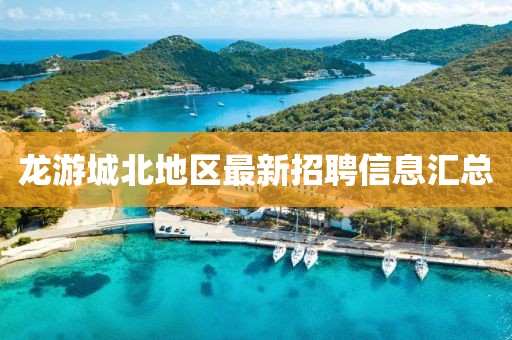 龙游城北地区最新招聘信息汇总