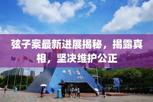 弦子案最新进展揭秘，揭露真相，坚决维护公正