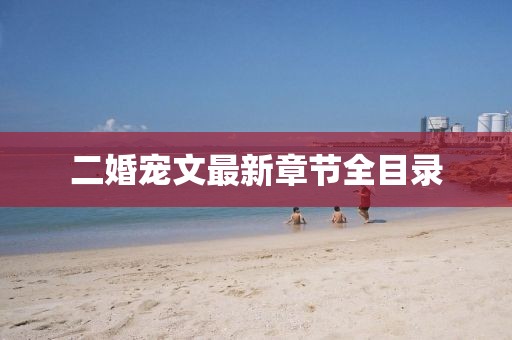 二婚宠文最新章节全目录