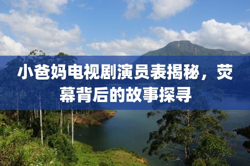 小爸妈电视剧演员表揭秘，荧幕背后的故事探寻