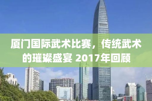 厦门国际武术比赛，传统武术的璀璨盛宴 2017年回顾