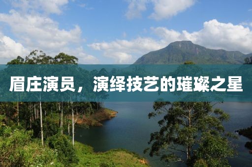 眉庄演员，演绎技艺的璀璨之星