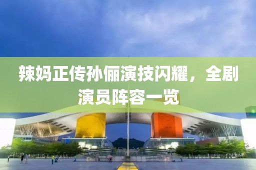 辣妈正传孙俪演技闪耀，全剧演员阵容一览