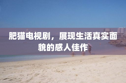 肥猫电视剧，展现生活真实面貌的感人佳作