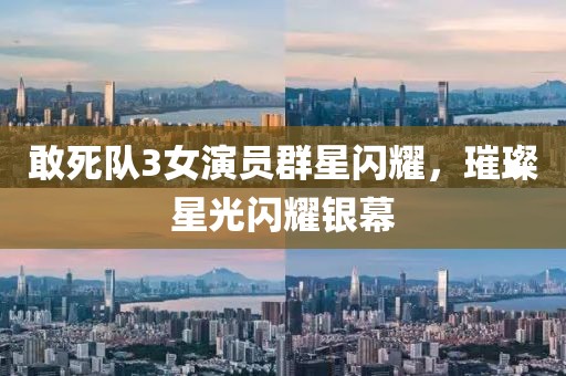 敢死队3女演员群星闪耀，璀璨星光闪耀银幕