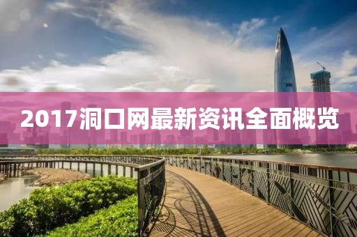 2017洞口网最新资讯全面概览