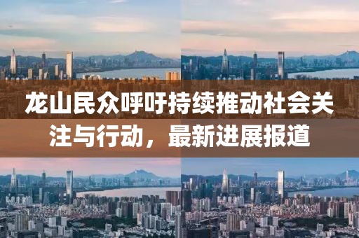 龙山民众呼吁持续推动社会关注与行动，最新进展报道