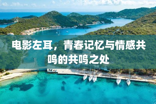 电影左耳，青春记忆与情感共鸣的共鸣之处