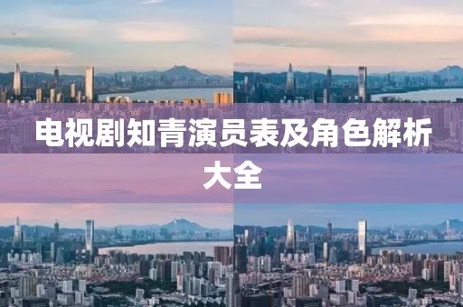 电视剧知青演员表及角色解析大全