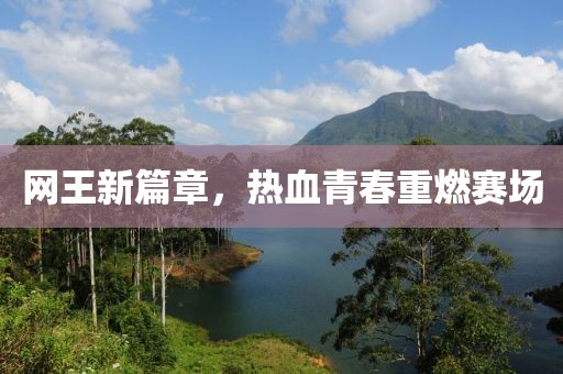 网王新篇章，热血青春重燃赛场