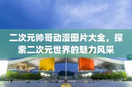 二次元帅哥动漫图片大全，探索二次元世界的魅力风采