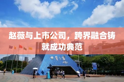赵薇与上市公司，跨界融合铸就成功典范