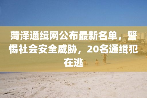 菏泽通缉网公布最新名单，警惕社会安全威胁，20名通缉犯在逃