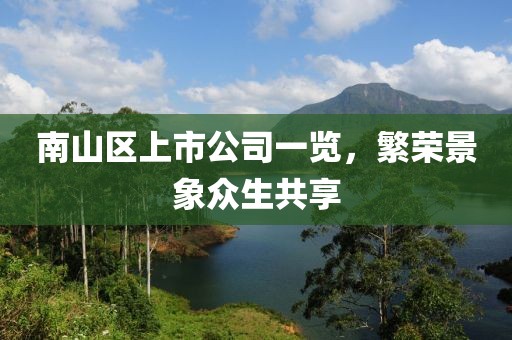 南山区上市公司一览，繁荣景象众生共享