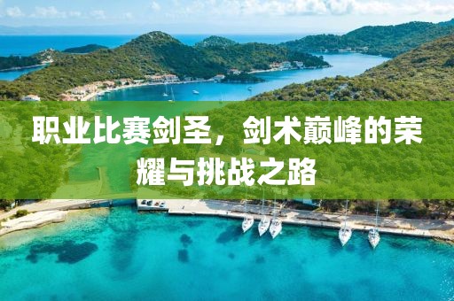 职业比赛剑圣，剑术巅峰的荣耀与挑战之路