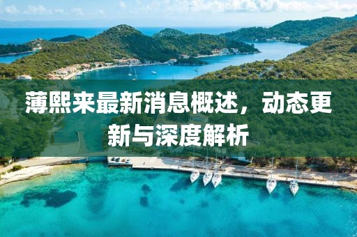 薄熙来最新消息概述，动态更新与深度解析