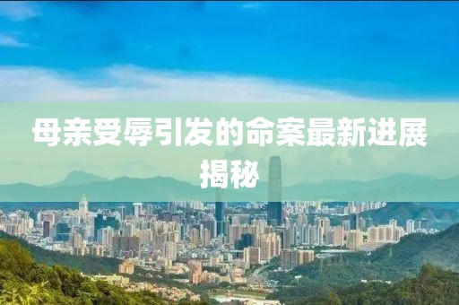 母亲受辱引发的命案最新进展揭秘