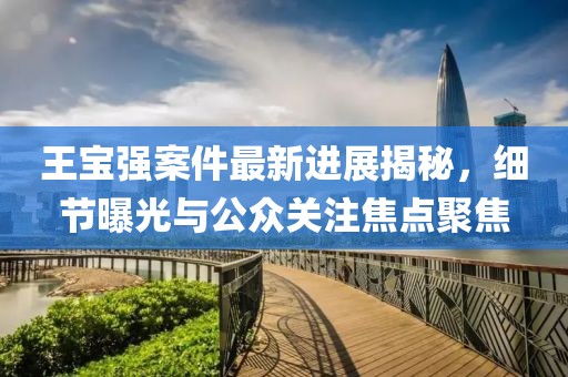 王宝强案件最新进展揭秘，细节曝光与公众关注焦点聚焦
