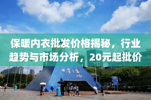 保暖内衣批发价格揭秘，行业趋势与市场分析，20元起批价