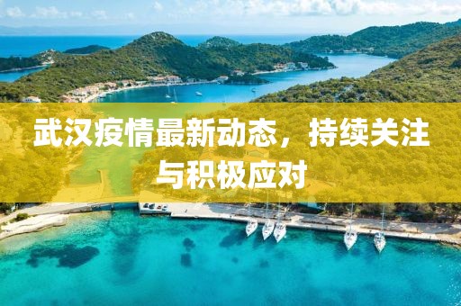 武汉疫情最新动态，持续关注与积极应对