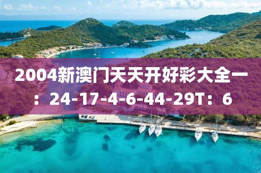 2004新澳门天天开好彩大全一：24-17-4-6-44-29T：6
