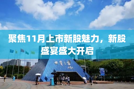 聚焦11月上市新股魅力，新股盛宴盛大开启