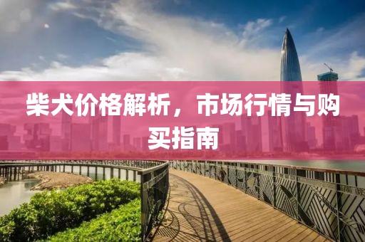 柴犬价格解析，市场行情与购买指南