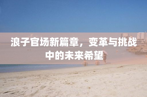 浪子官场新篇章，变革与挑战中的未来希望