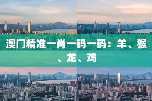 澳门精准一肖一码一码：羊、猴、龙、鸡