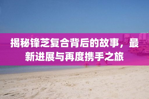 揭秘锋芝复合背后的故事，最新进展与再度携手之旅