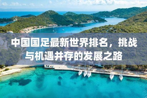 中国国足最新世界排名，挑战与机遇并存的发展之路