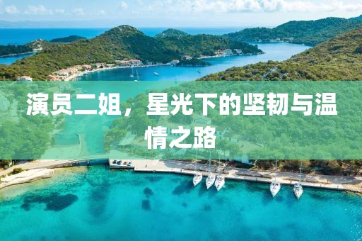 演员二姐，星光下的坚韧与温情之路