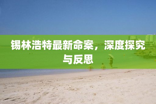 锡林浩特最新命案，深度探究与反思