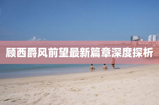 顾西爵风前望最新篇章深度探析