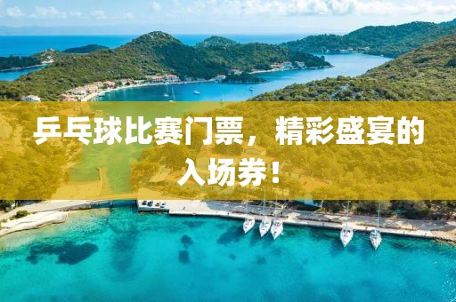乒乓球比赛门票，精彩盛宴的入场券！