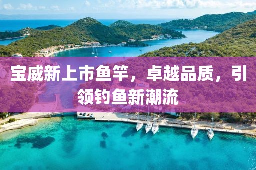 宝威新上市鱼竿，卓越品质，引领钓鱼新潮流