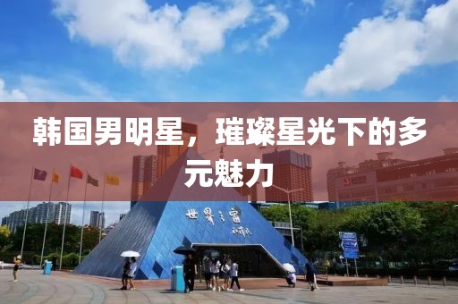 韩国男明星，璀璨星光下的多元魅力
