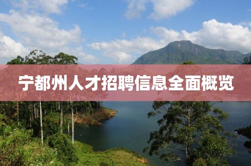 宁都州人才招聘信息全面概览