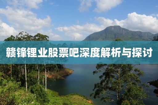 赣锋锂业股票吧深度解析与探讨