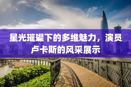 星光璀璨下的多维魅力，演员卢卡斯的风采展示