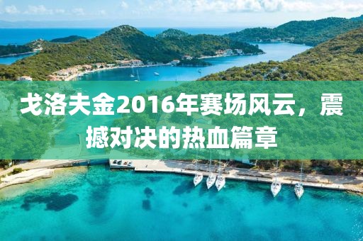 戈洛夫金2016年赛场风云，震撼对决的热血篇章