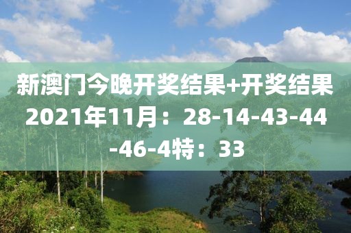 新澳门今晚开奖结果+开奖结果2021年11月：28-14-43-44-46-4特：33